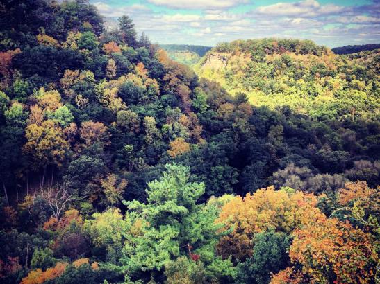 Fall Foliage | credit Joe Whitson