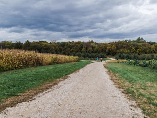 Northwoods Orchard | credit AB-PHOTOGRAPHY.US