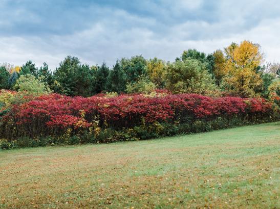 Northwoods Orchard | credit AB-PHOTOGRAPHY.US