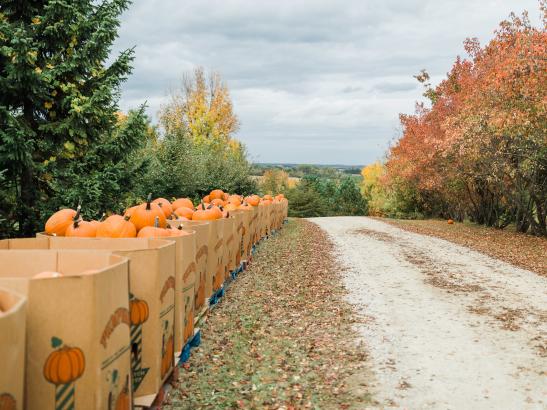 Northwoods Orchard | credit AB-PHOTOGRAPHY.US