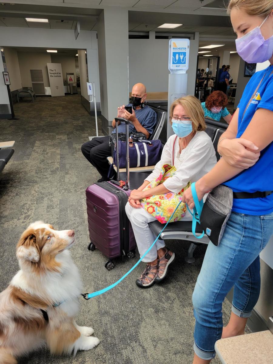 therapy dog with handler and travelers at RST