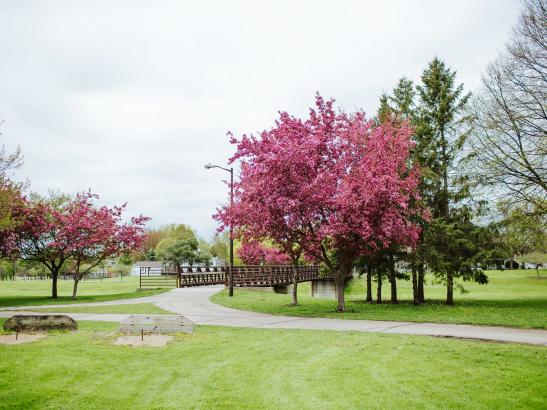 Slatterly Park | credit AB-PHOTOGRAPHY.US