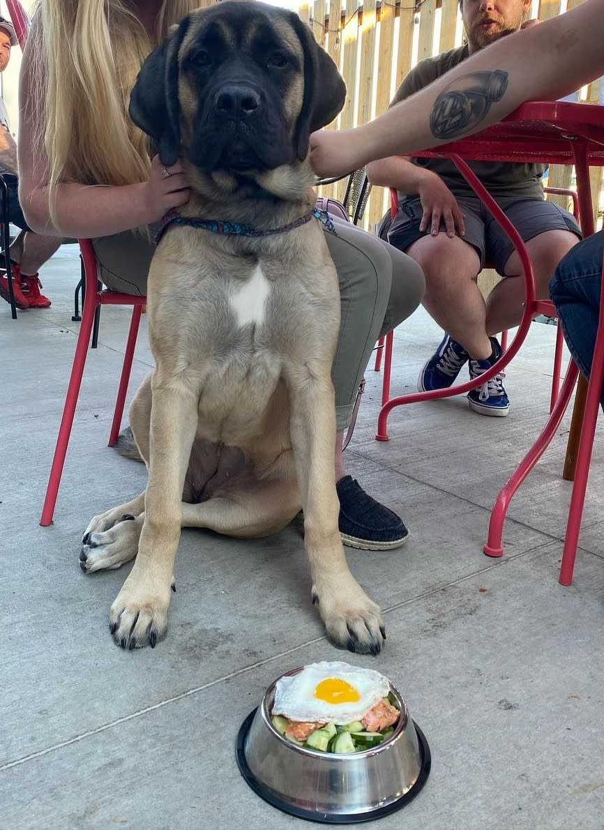 Dog With Dog Menu Food Item at Smoak BBQ